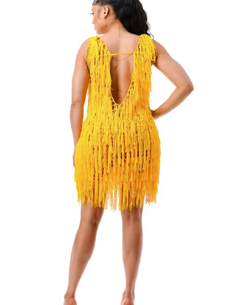 Fringe Dress Coverup