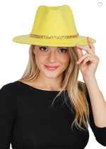 The Hatz Collection